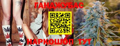 шишки Будённовск