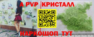 шишки Будённовск