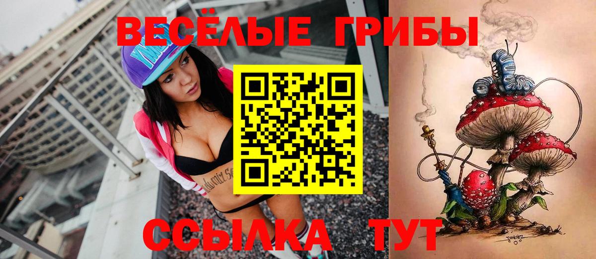 Галлюциногенные грибы Magic Shrooms  Псилоцибиновые грибы Psilocybe  Вход с VPN  Коммунар 