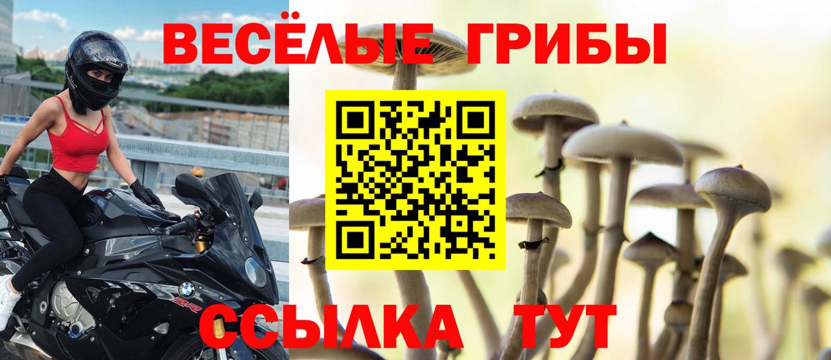 Галлюциногенные грибы Cubensis Коммунар